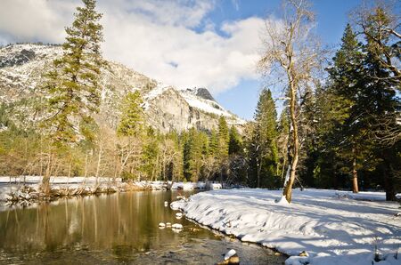 Scenic views in the winter forest in Yosemite National Park, Californiaの写真素材