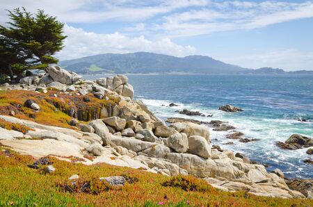 Scenic Views of California Pacific ocean coastlineの写真素材