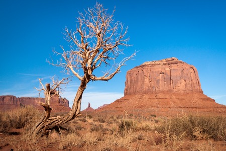 Landscapes of Monument Valleyの写真素材