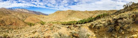 Palm Canyon panoramaの写真素材