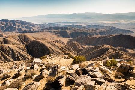 Joshua Tree National Parkの写真素材