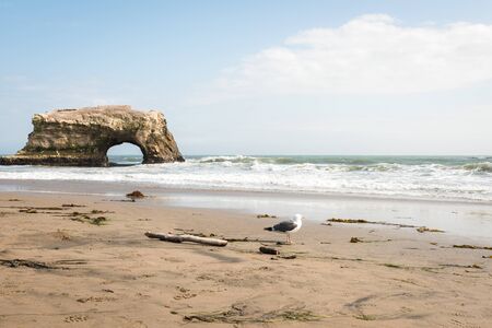 Natural Bridges seascapeの写真素材