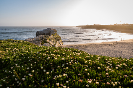 Natural Bridges seascapeの写真素材
