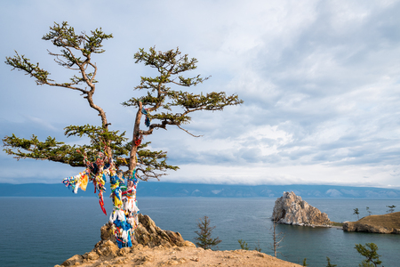 Colorful ribbons on the tree at Lake Baikal in Siberiaの写真素材