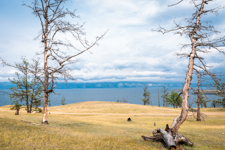 Scenic view of the shores of Lake Baikalの写真素材