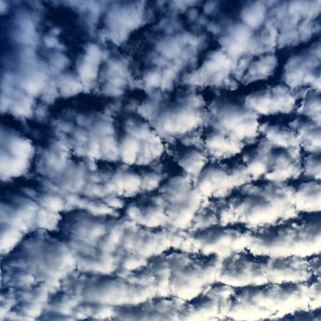The clouds