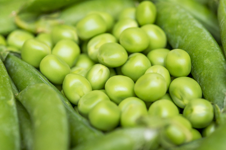 Green pea pod, green peas. Many fresh green peas as backgroundの写真素材