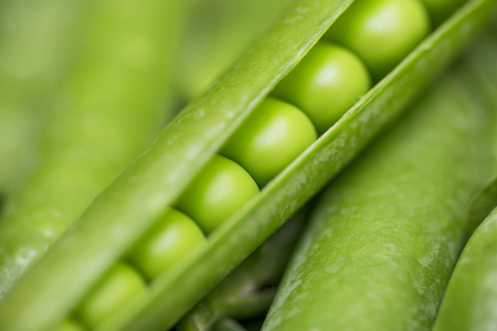 Beautiful close up of green fresh peas and pea pods. Healthy foodの写真素材