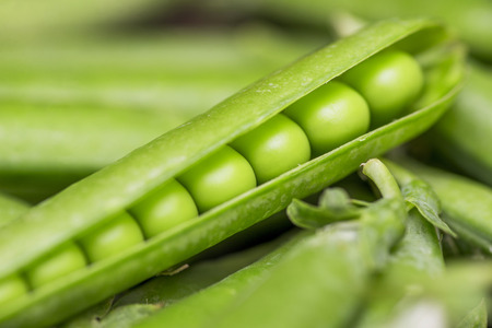Beautiful close up of green fresh peas and pea pods. Healthy foodの写真素材