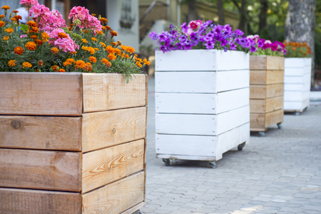 Town flowers in the big wooden pots on street. Interior street cafe with flowers in wooden potの写真素材