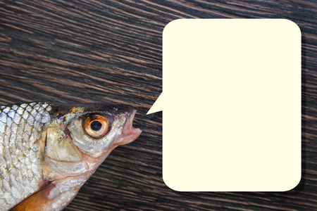 Head of raw fish with open mouth and speech bubble on a wooden background. Copy space