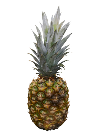 Ripe whole pineapple isolated on white. single whole pineapple isolated on white backgroundの写真素材