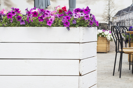 Beautiful terrace  with table, chair and flowers. Flowers in the design of a wooden flower bed near the cafe in the cityの写真素材