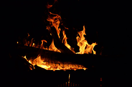 Fire sparkles background. Burning fire of dry branches. Fire in natureの写真素材