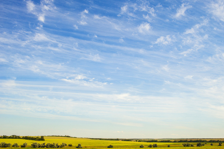 Meadow with green grass and blue sky with clouds. Blue sky and beautiful cloud with meadow treeの写真素材