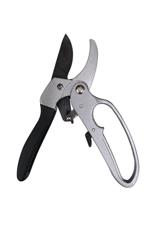 Garden secateurs isolated on a white background. Pruning shears isolated on whiteの写真素材