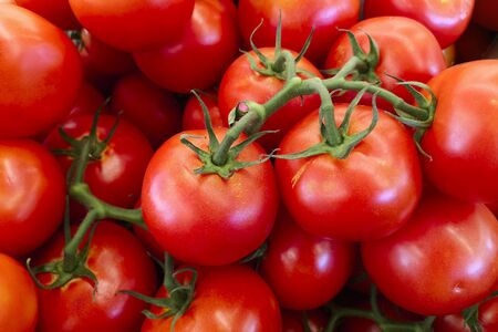 Delicious red tomatoes. Red tomatoes background. Group of tomatoes. Red tomatoes at marketの写真素材