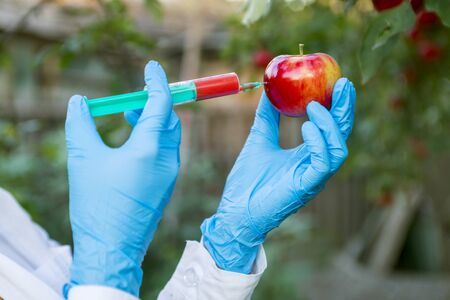 Hand holding apple fruit with syringe with chemical fertilizers of red colour in apple. GMO and pesticide modification. Scientist in gloves injecting apple with red fertilizerの写真素材