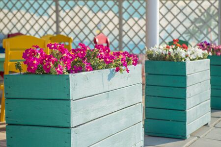 Town flowers in the big wooden pots on street. Interior street cafe with flowers in wooden pot. Landscaping and decoration of city streetsの写真素材