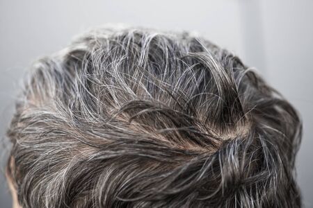 The head of a man with a hairstyle with gray hair. Gray Hair Adultの写真素材