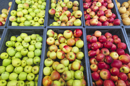Bunch of red and green apples on boxes in supermarket. Red and green apples at the farmers market. Apples being sell at public marketの写真素材