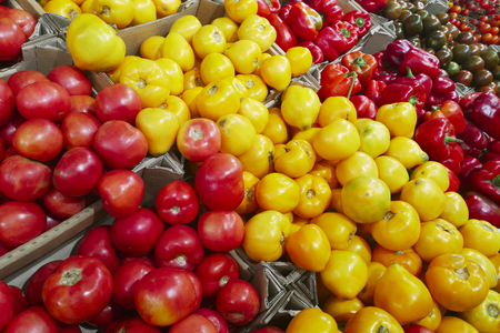 Fresh organic Vegetables in supermarket, farmers market. Healthy food. Vitamins and minerals. Tomatoes, capsicum, cucumbers, mushrooms, zucchini, Vegetables, Vegetables freshの写真素材