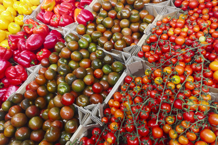 Fresh organic Vegetables in supermarket, farmers market. Healthy food. Vitamins and minerals. Tomatoes, capsicum, cucumbers, mushrooms, zucchini, Vegetables, Vegetables freshの写真素材