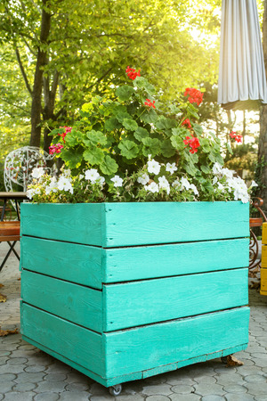Large wooden pot with red geranium flower in outdoor. Large wooden pot with flowersの写真素材