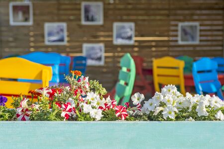 Wooden pot with flowers on the background of a trendy cafe interior. Cafe with empty tables and chairs. Pictures on the cafe wallの写真素材