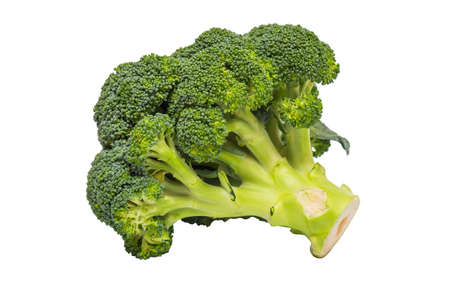 Broccoli isolated on a white background. A branch of fresh green broccoli. Healthy food.の写真素材