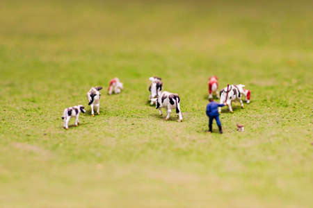 Herd of cows miniature toys on a green meadow. A herd of toy cows grazing on a hillside. Shallow depth of field.の写真素材
