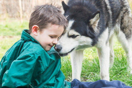 Boy playing with his dog. Happy child plays with siberian husky dog. Active children concept.の写真素材