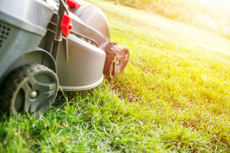 Lawn mower cutting grass. Gardening concept background. Close up of lawn mowers.の写真素材