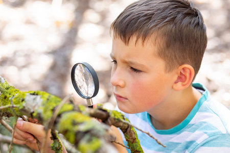 Curious boy is exploring nature with magnifying glass outdoorsの写真素材