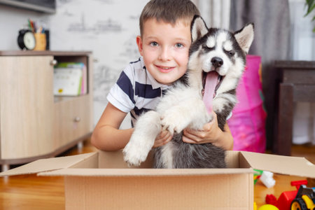 Kid gets out puppy from cardboard box at home. Child has birthday presentの写真素材