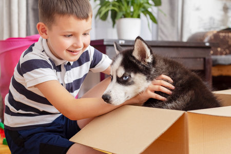 Kid gets out puppy from cardboard box at home. Child has birthday presentの写真素材