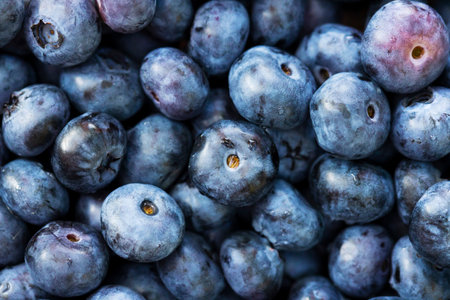 Freshly picked ripe blueberries as background. Fresh blueberry background