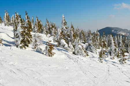 Slope on the skiing resortの写真素材