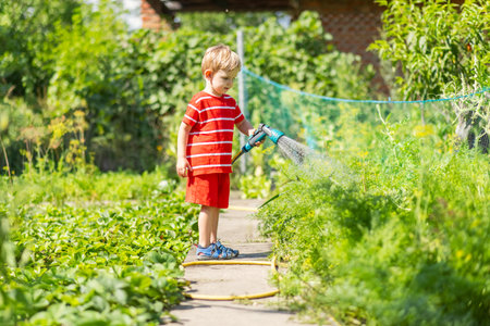 Child watering flowers and plants in garden. Little boy gardeningの写真素材