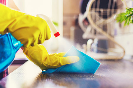 Housewife in yellow gloves wipes dust using spray detergent and rag