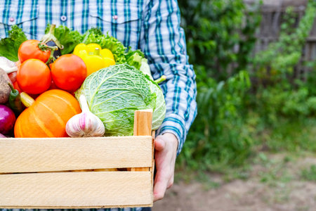 Farmer man holding wooden box full of fresh raw vegetables in his handsの写真素材