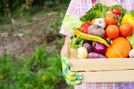 Farmer woman in gloves holding wooden box full of fresh raw vegetablesの写真素材