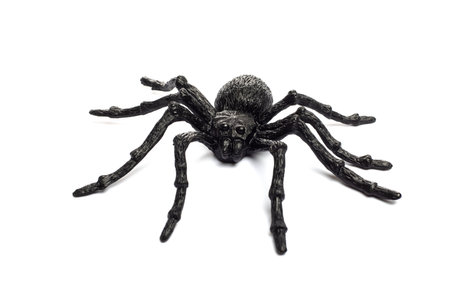 Black rubber spider toy isolated on a white background. Black spider toy