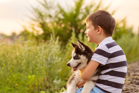 The boy with his favorite four-legged friend. Puppy in the hands of a childの写真素材