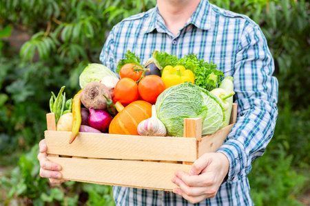 Farmer man holding wooden box full of fresh raw vegetables in his hands.の写真素材
