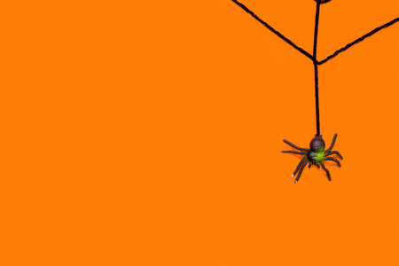 Black toy spider on artificial web on an orange background.の写真素材
