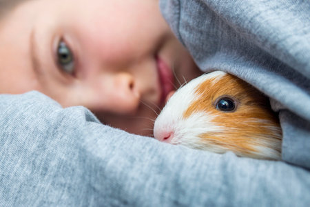 Boy holding a guinea pig. A child hugs a guinea pig. Pet care conceptの写真素材