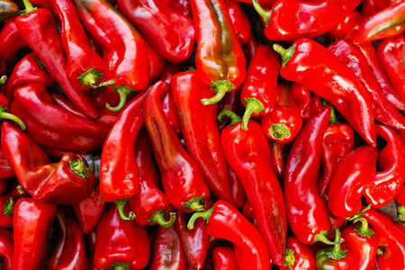Pile of red peppers as a backgroundの写真素材