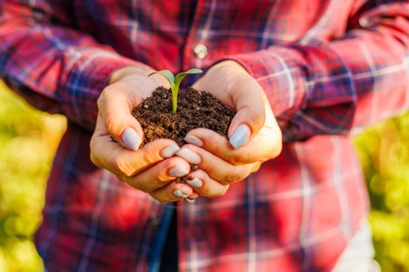 Woman holding in her hands green sprout seedling in soil. Concept of Earth day