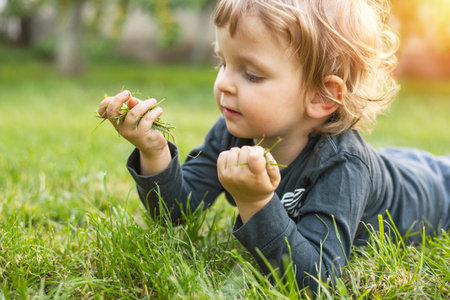 Young child playing with grass on a sunny dayの写真素材